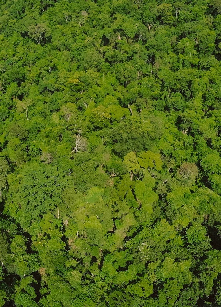 100%-profits-for-the-planet